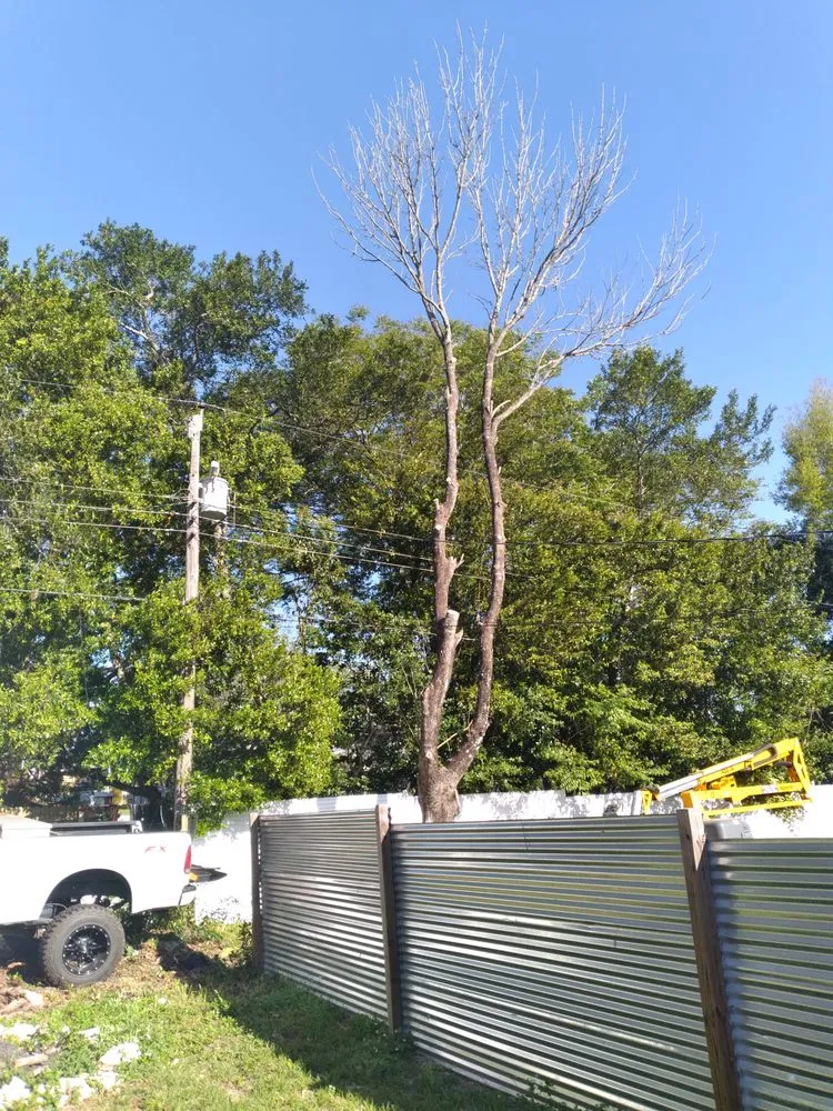 Top-rated residential landscaping for outdoor upgrades across Citrus Springs, FL - Perfect Cut Lawn & Tree