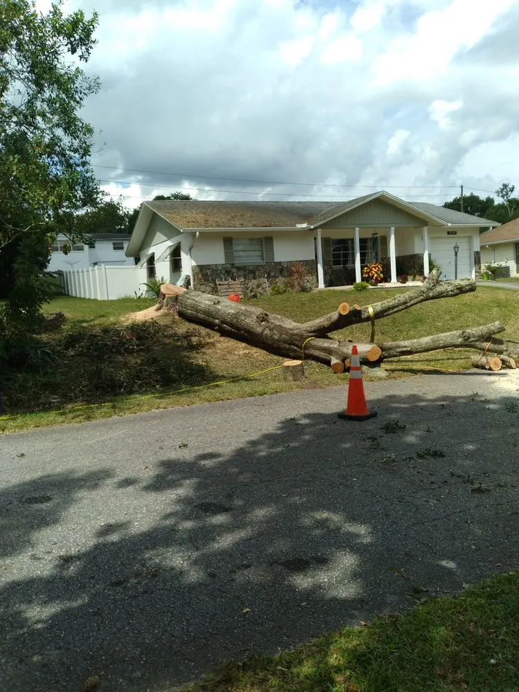 Local outdoor landscaping experts serving Citrus Springs, FL - Perfect Cut Lawn & Tree
