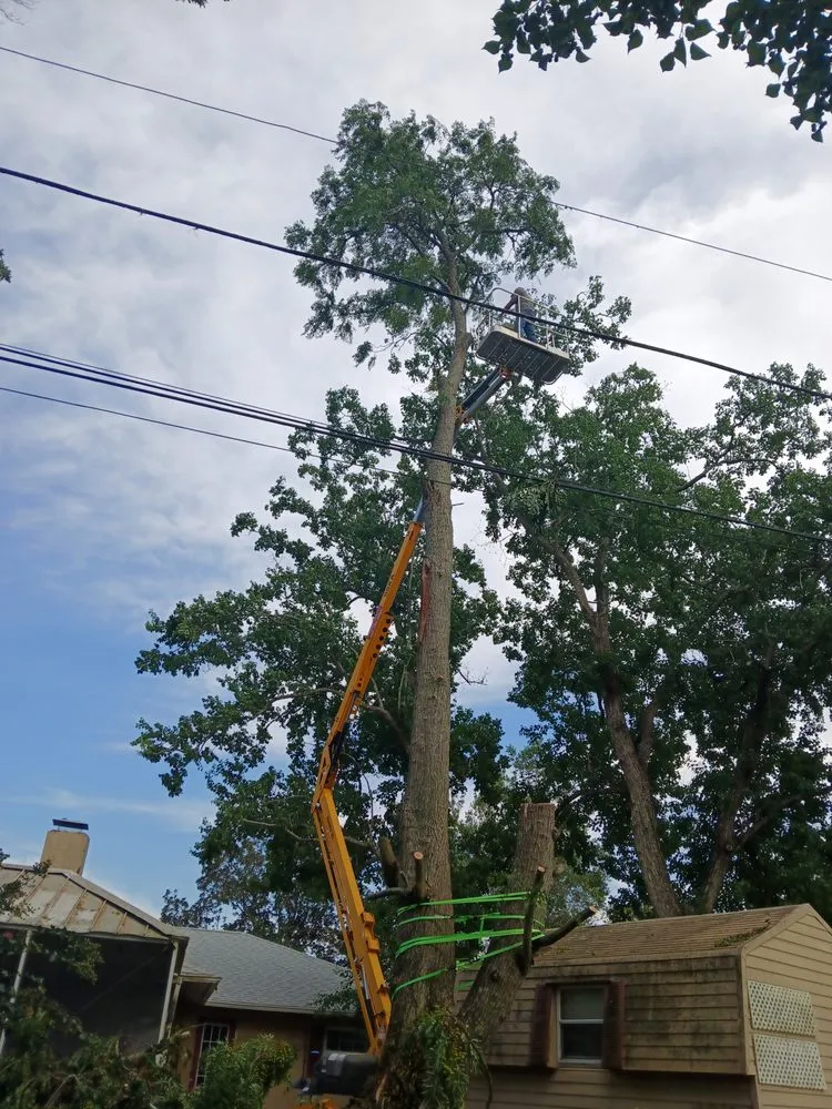 Reliable landscape design experts serving Citrus Springs, FL - Perfect Cut Lawn & Tree