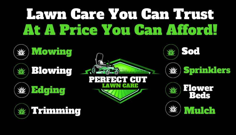 Top-rated residential landscaping for beautiful yards across Amarillo, TX - Perfect Cut Lawn Care