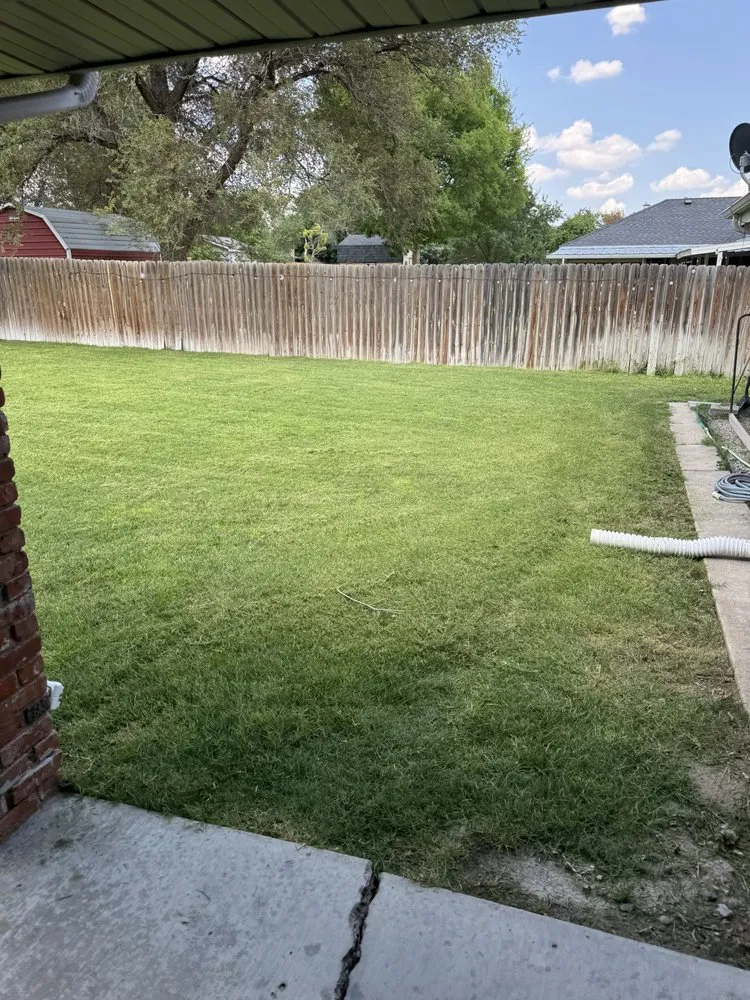 Trusted landscaping services in Amarillo, TX by Perfect Cut Lawn Care