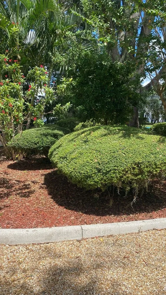 Reliable garden landscaping in Orlando, FL by Perfect Cut Lawn Services