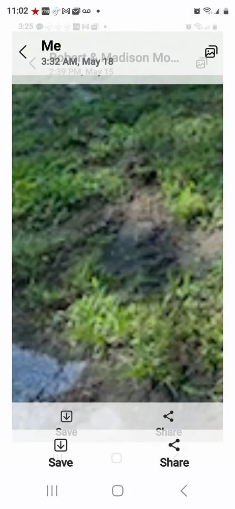 Reliable garden landscaping for beautiful yards in Tyler, TX by Perfect Cut Lawn Services