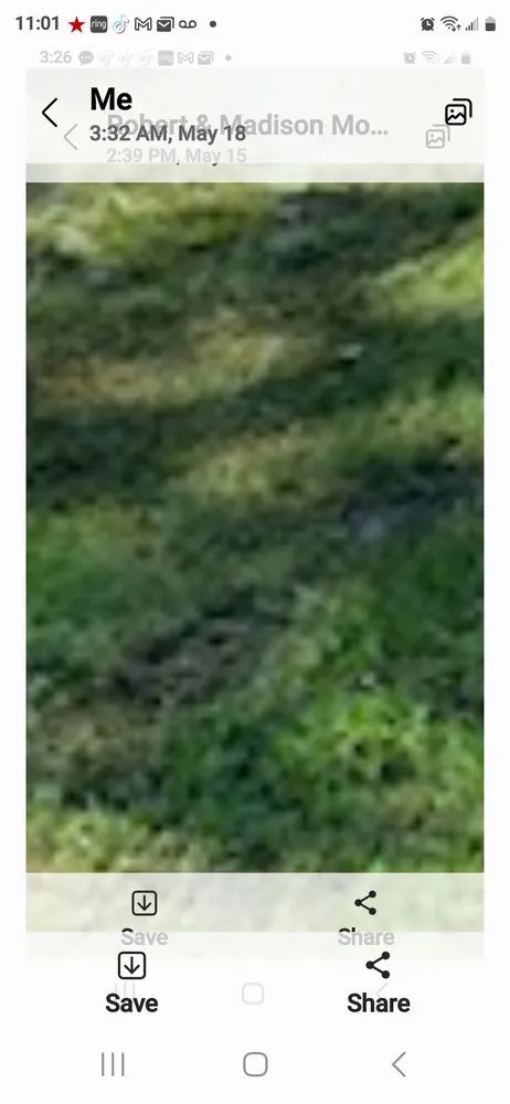 Reliable yard maintenance experts serving Tyler, TX - Perfect Cut Lawn Services