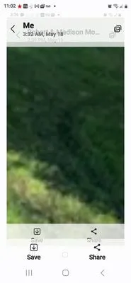 Perfect Cut Lawn Services Logo