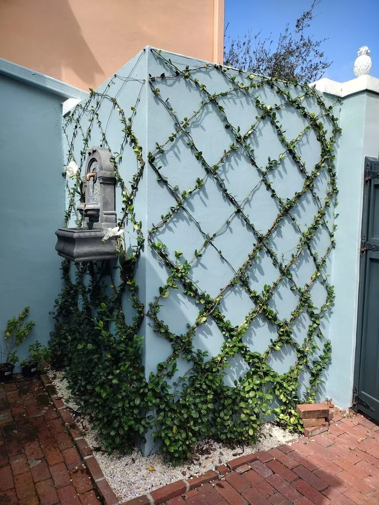 Professional yard maintenance in Lake Worth Beach, FL by Perfect Cut Tree Landscaping