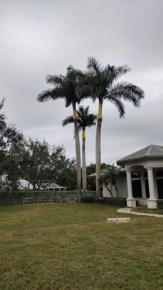 Reliable residential landscaping in Lake Worth Beach, FL - Perfect Cut Tree Landscaping