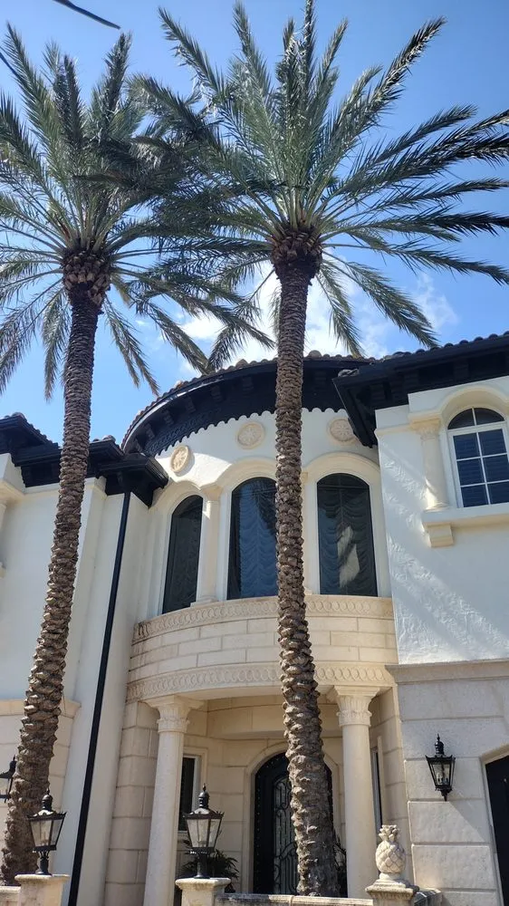 Professional lawn care service with custom design in Lake Worth Beach, FL by Perfect Cut Tree Landscaping