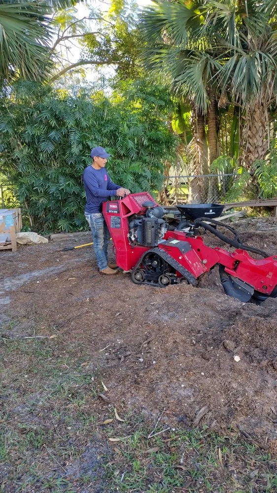 Expert landscape installation in Lake Worth Beach, FL by Perfect Cut Tree Landscaping