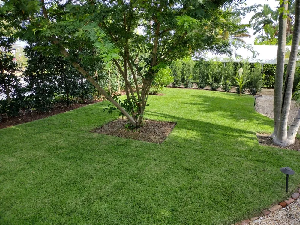 Professional residential landscaping in Lake Worth Beach, FL by Perfect Cut Tree Landscaping
