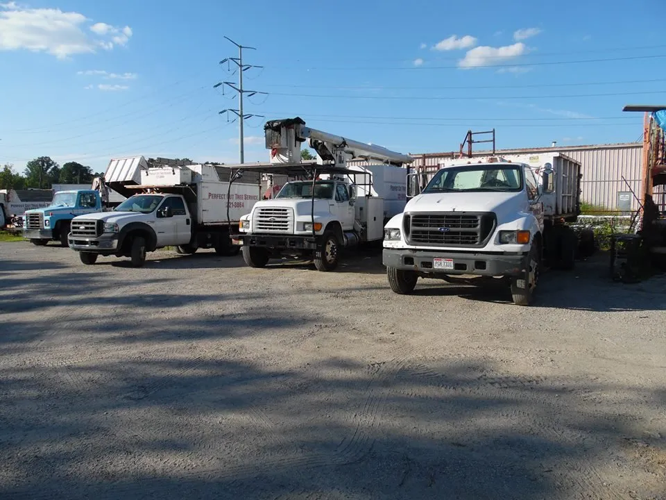 Reliable residential landscaping for year-round maintenance in Cincinnati, OH by Perfect Cut Tree Service