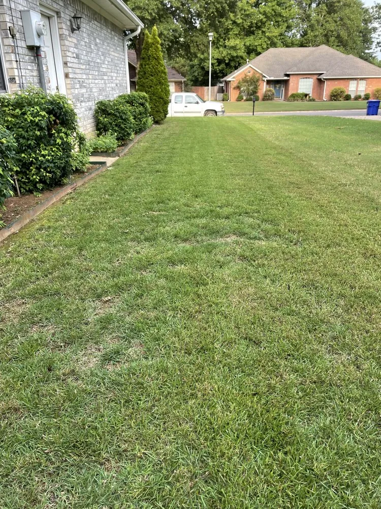 Top-rated lawn mowing service in Conway, AR - Perfect cuts