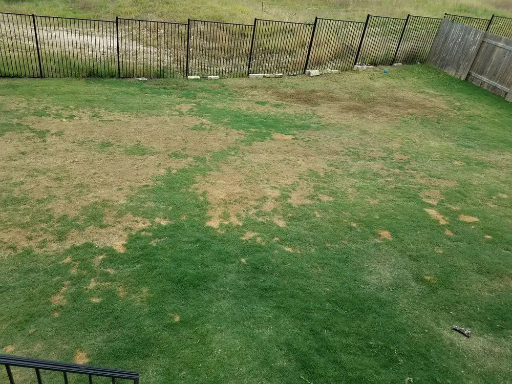 Custom landscaping services in Austin, TX by Perfect Cuts Lawn Service