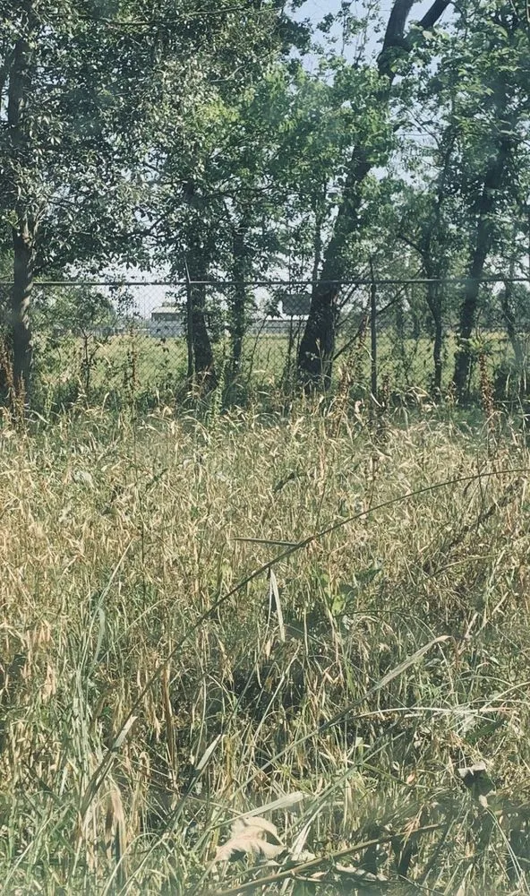 Top-rated residential landscaping experts serving Baton Rouge, LA - Perfect Cuts Lawn Service