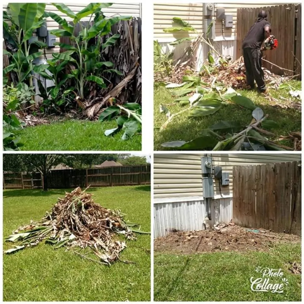 Trusted landscape design experts serving Baton Rouge, LA - Perfect Cuts Lawn Service