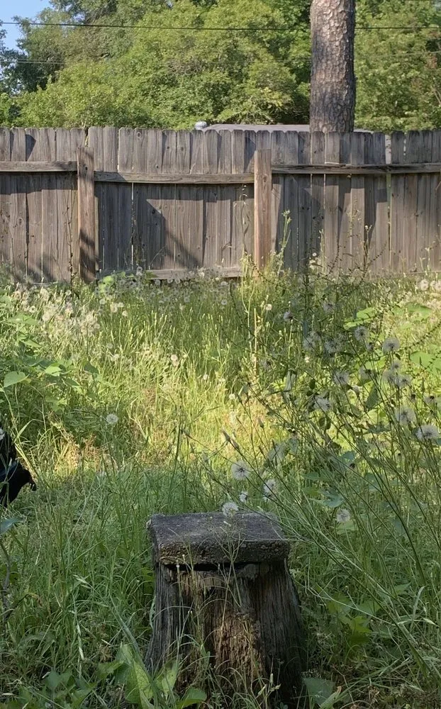 Professional landscaping services for residential properties across Baton Rouge, LA - Perfect Cuts Lawn Service