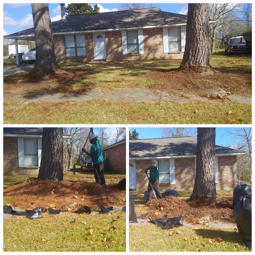 Local lawn care service for outdoor upgrades in Baton Rouge, LA by Perfect Cuts Lawn Service