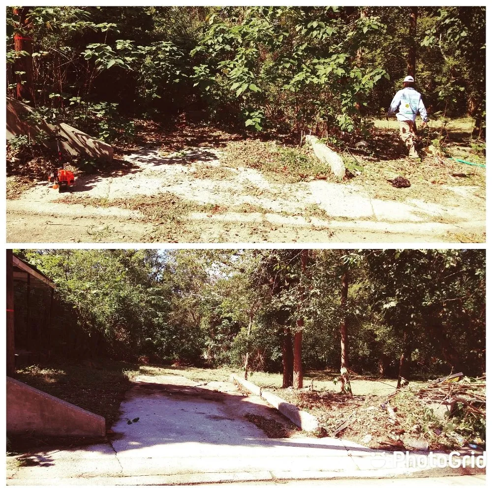 Local yard cleanup service experts serving Baton Rouge, LA - Perfect Cuts Lawn Service