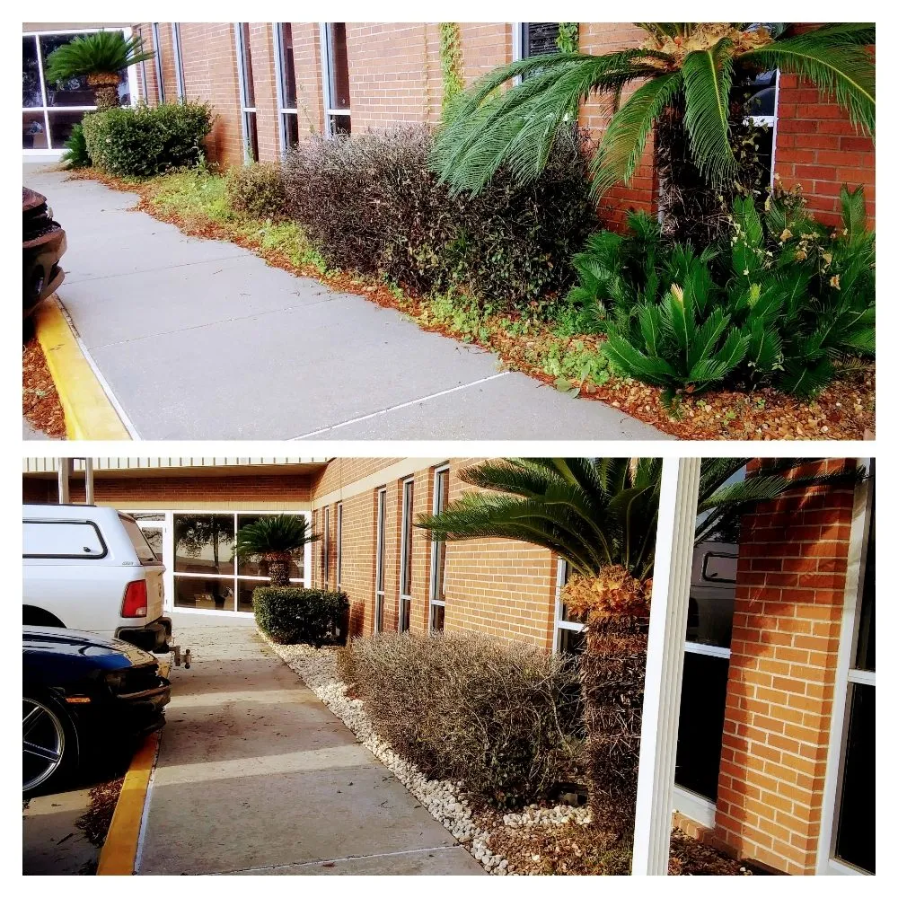 Reliable lawn mowing service in Baton Rouge, LA by Perfect Cuts Lawn Service