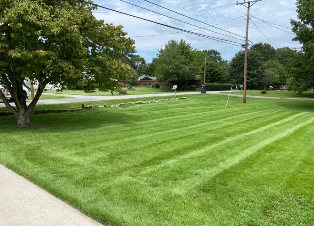 Professional yard maintenance for year-round maintenance in Powell, TN by Perfect Edge Lawncare