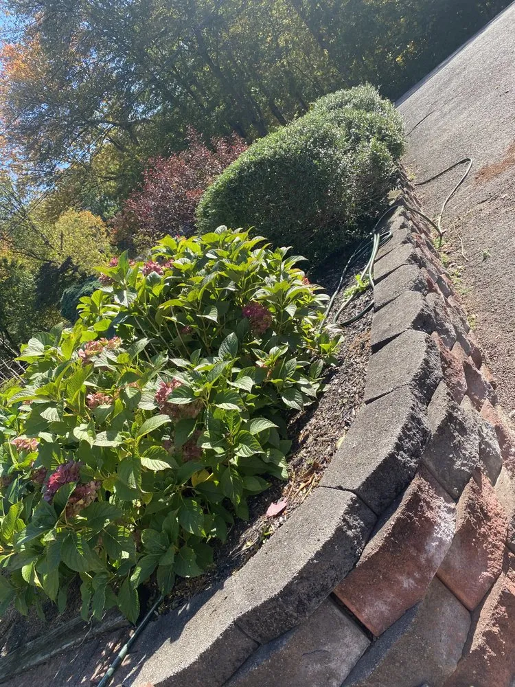 Expert landscape installation in Bridgeport, CT - Perfect Edgez