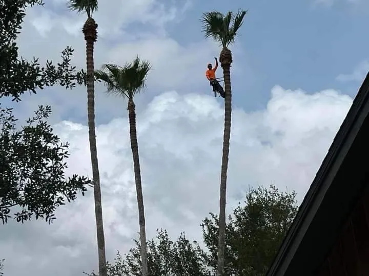 Trusted yard cleanup service experts serving Indiantown, FL - Perfect Garden MM & Tree Service