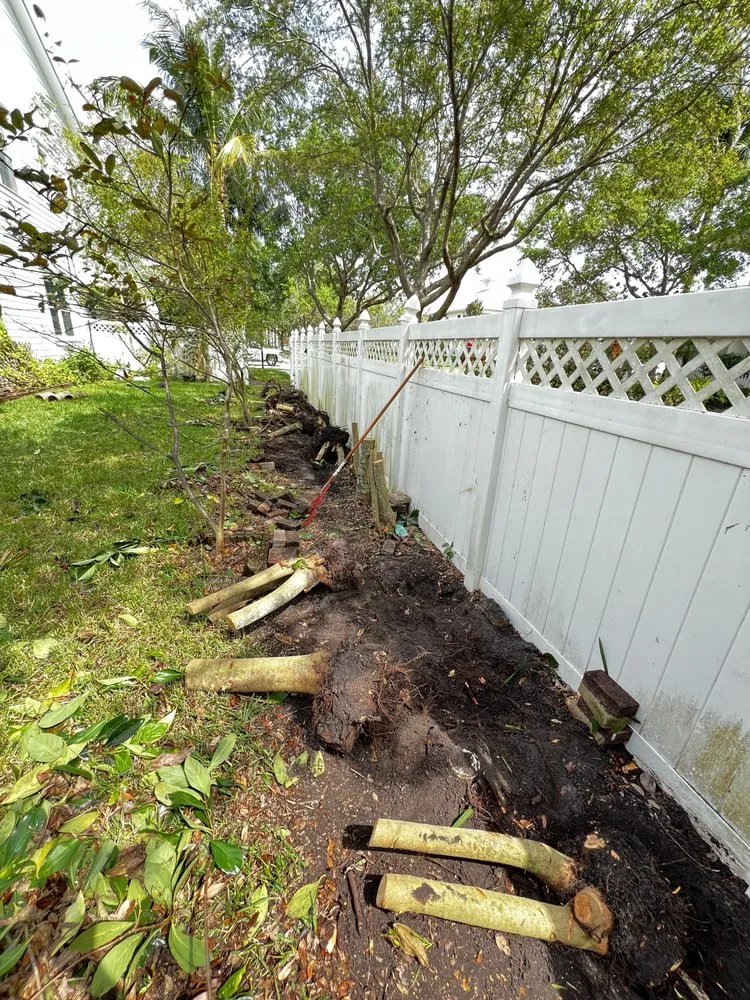 Professional yard cleanup service experts serving Indiantown, FL - Perfect Garden MM & Tree Service