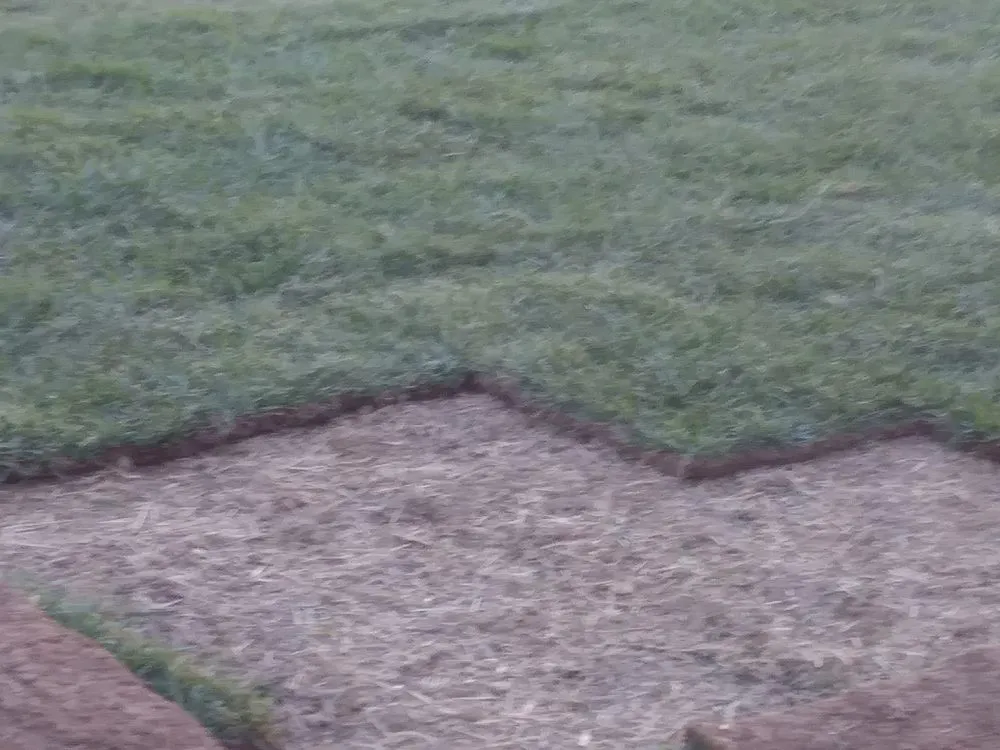 Expert garden landscaping for outdoor upgrades across Newark, DE - Perfect Garden