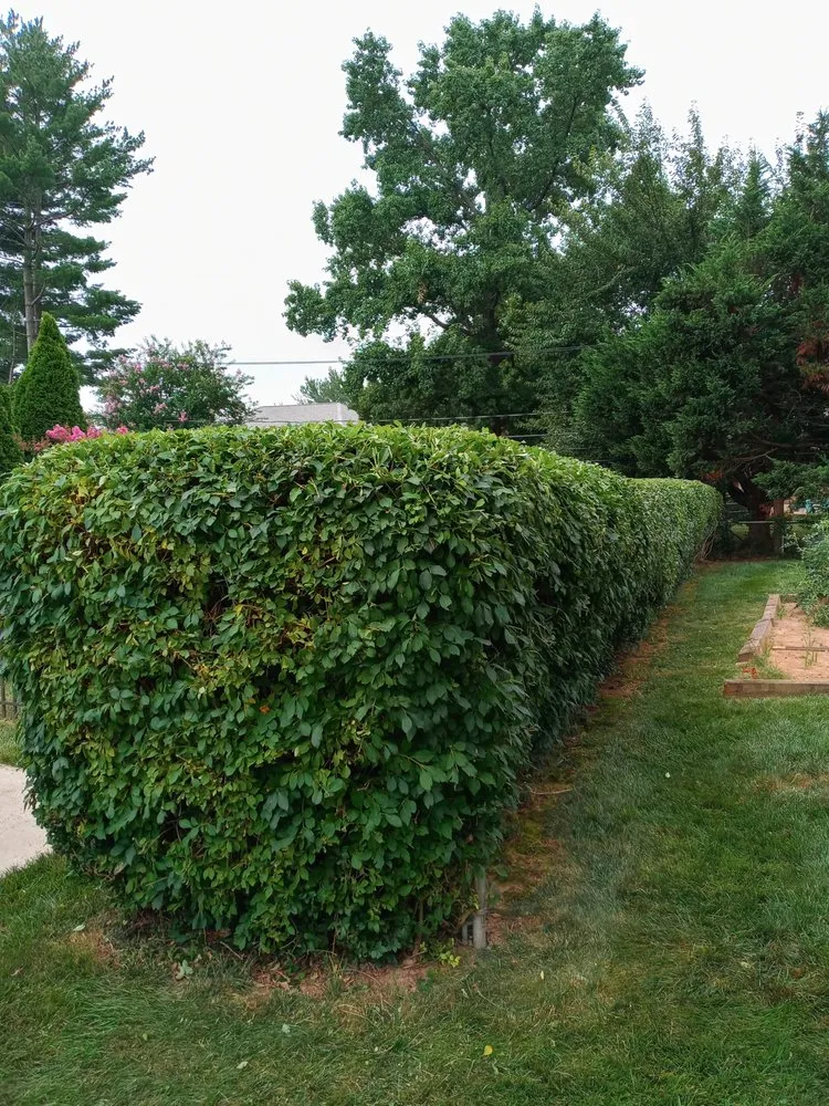 Trusted lawn care service in Newark, DE by Perfect Garden