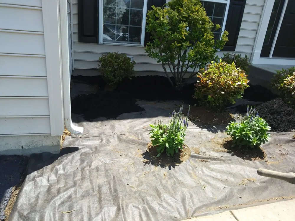 Expert outdoor landscaping experts serving Newark, DE - Perfect Garden