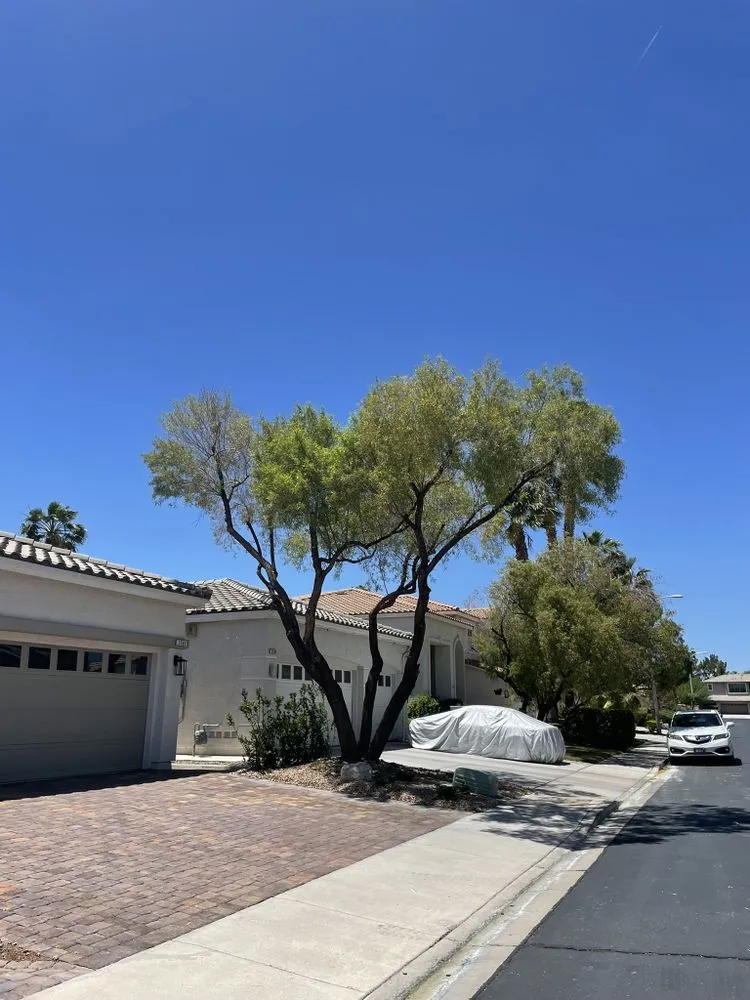 Professional outdoor landscaping in Las Vegas, NV by Perfect Garden Services