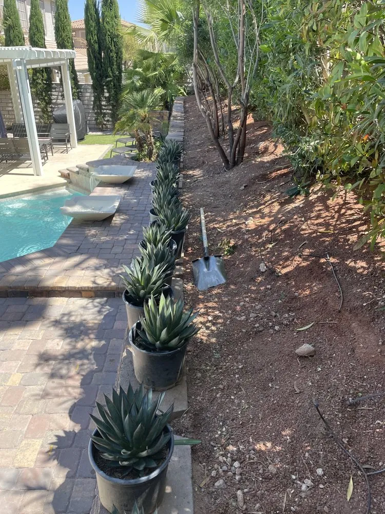 Trusted garden landscaping experts serving Las Vegas, NV - Perfect Garden Services