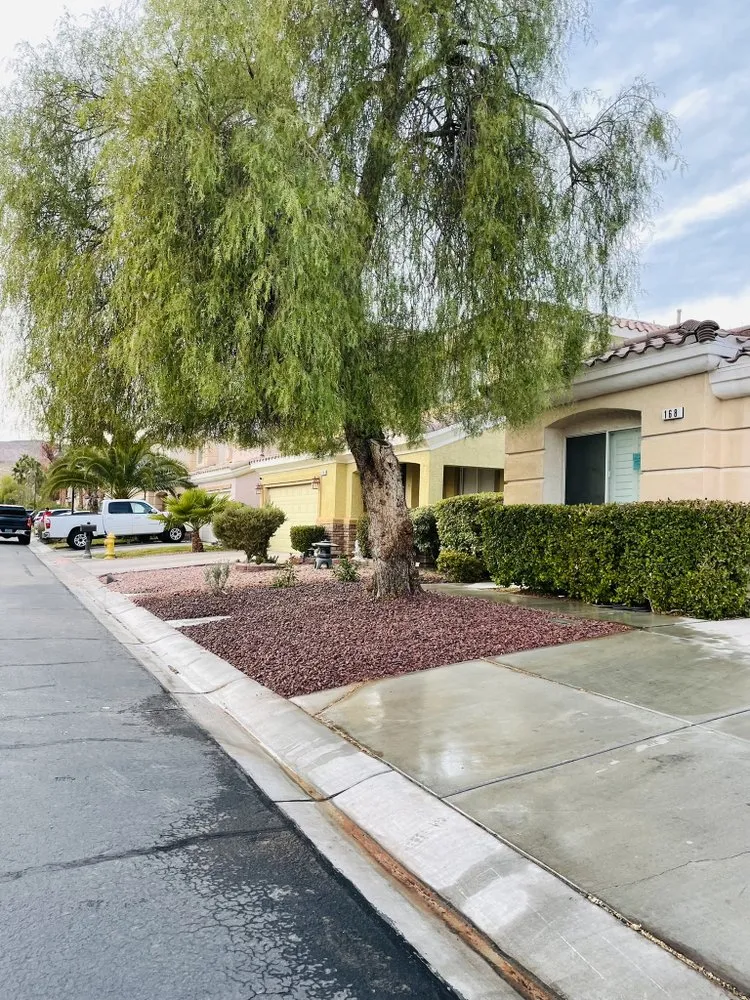 Custom yard cleanup service in Las Vegas, NV by Perfect Garden Services