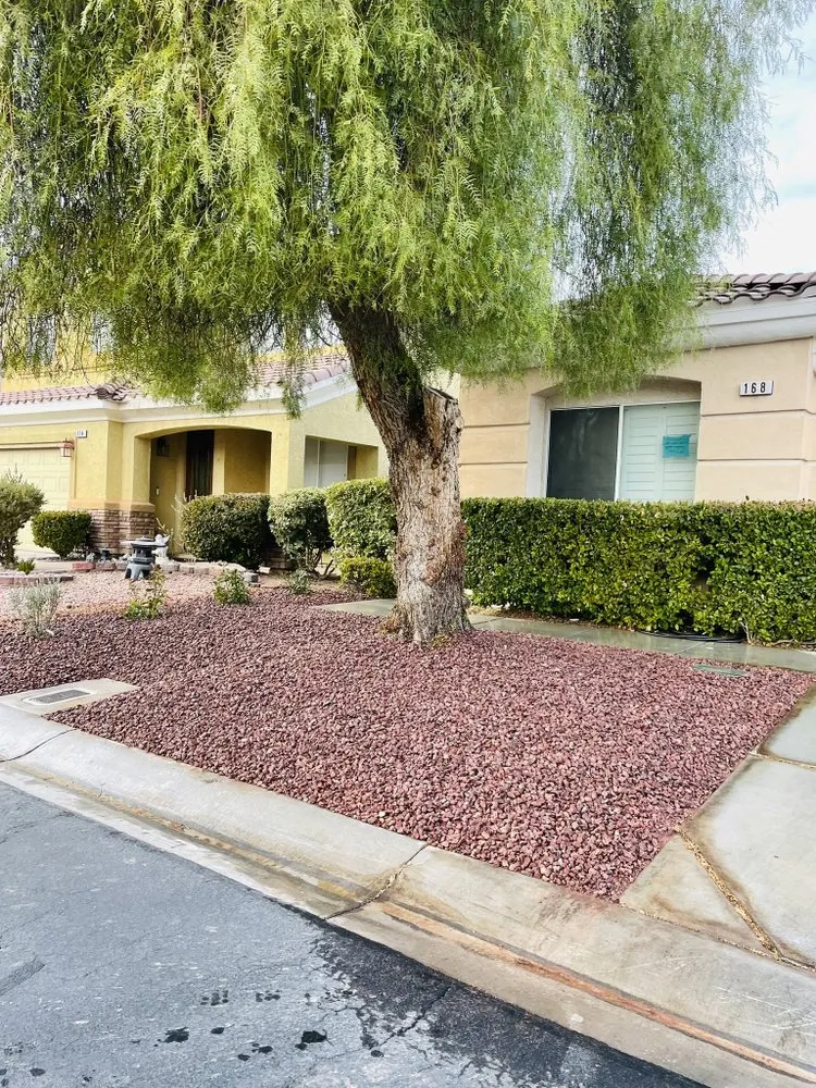 Professional outdoor landscaping near you in Las Vegas, NV by Perfect Garden Services