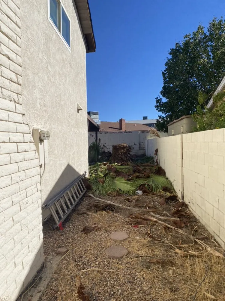 Professional yard maintenance in Las Vegas, NV - Perfect Garden Services