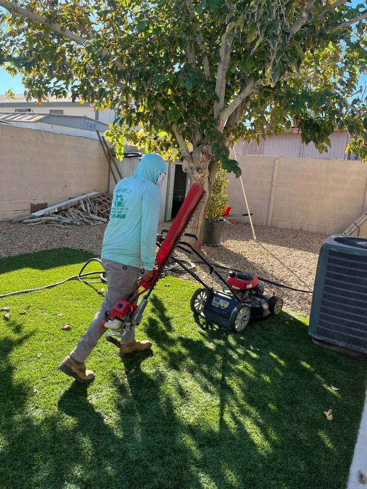 Custom outdoor landscaping in Las Vegas, NV by Perfect Garden Services