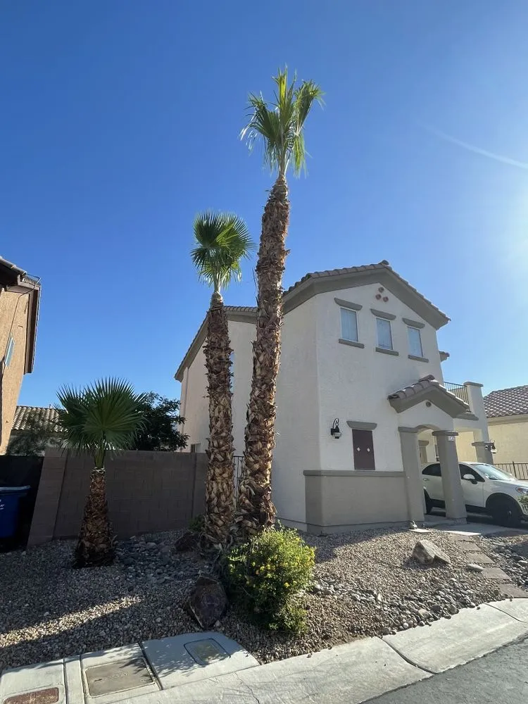 Trusted outdoor landscaping experts serving Las Vegas, NV - Perfect Garden Services