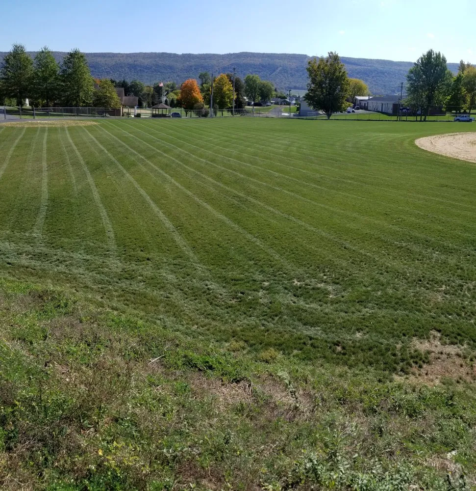 Trusted yard cleanup service near you in Belleville, PA by Perfect Green