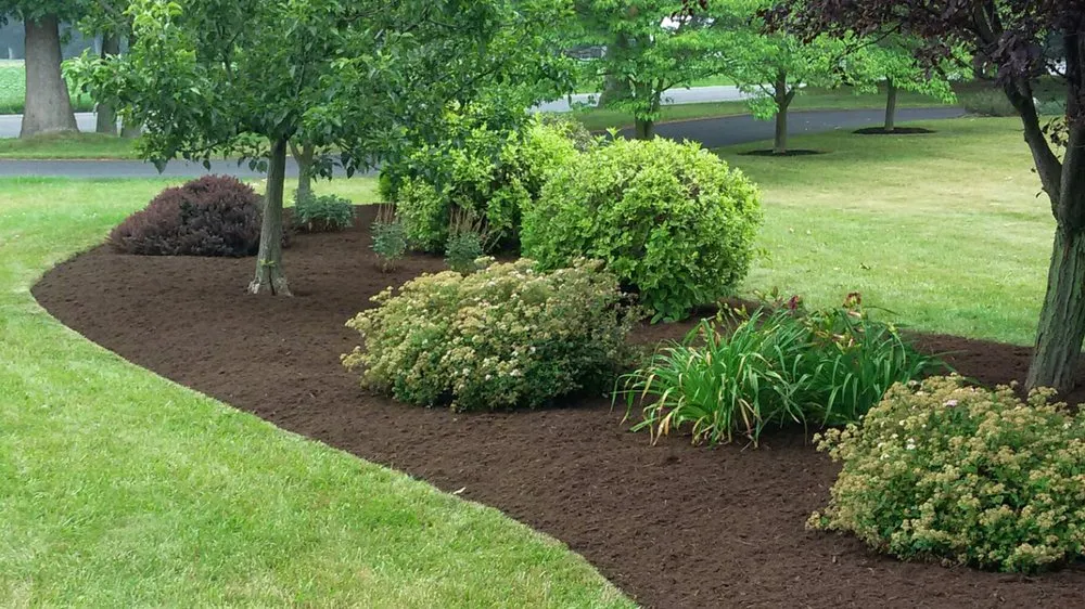 Top-rated yard cleanup service for outdoor upgrades across Belleville, PA - Perfect Green