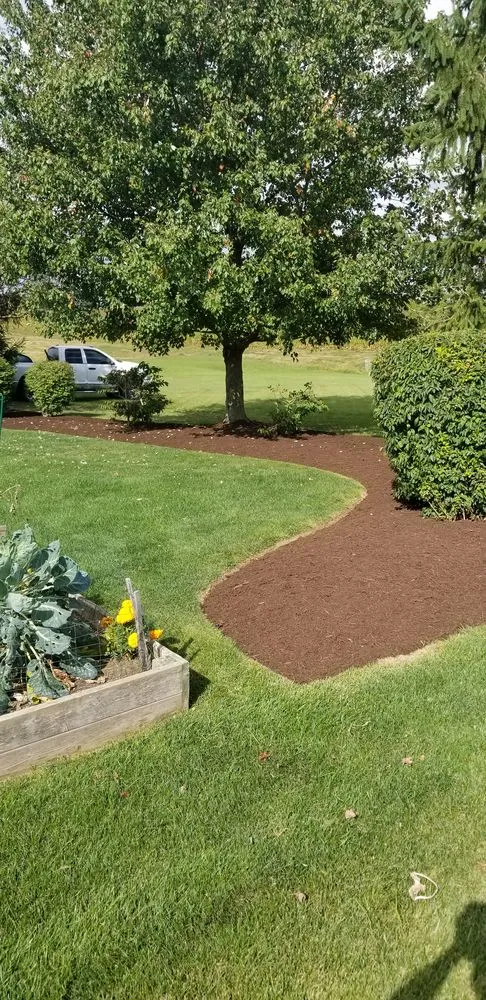 Top-rated yard cleanup service in Belleville, PA - Perfect Green