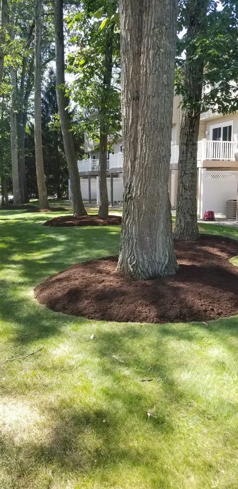 Top-rated lawn care service for homes across Belleville, PA - Perfect Green