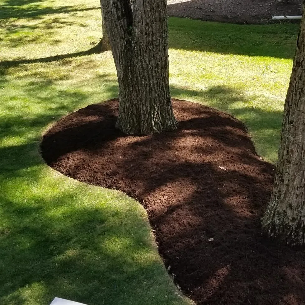 Reliable landscape installation in Belleville, PA - Perfect Green
