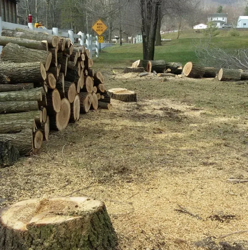 Reliable landscape installation for residential properties across Belleville, PA - Perfect Green