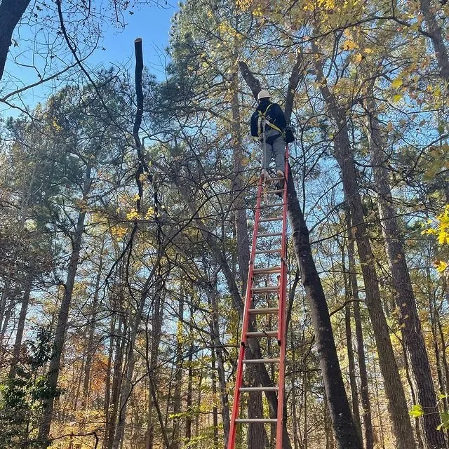 Reliable residential landscaping for outdoor upgrades across Haw River, NC - Perfect Green Landscape Services