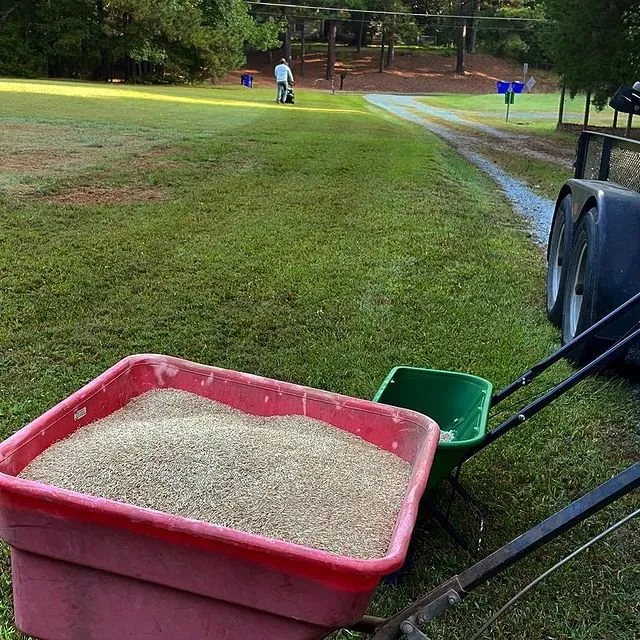 Custom yard cleanup service in Haw River, NC by Perfect Green Landscape Services