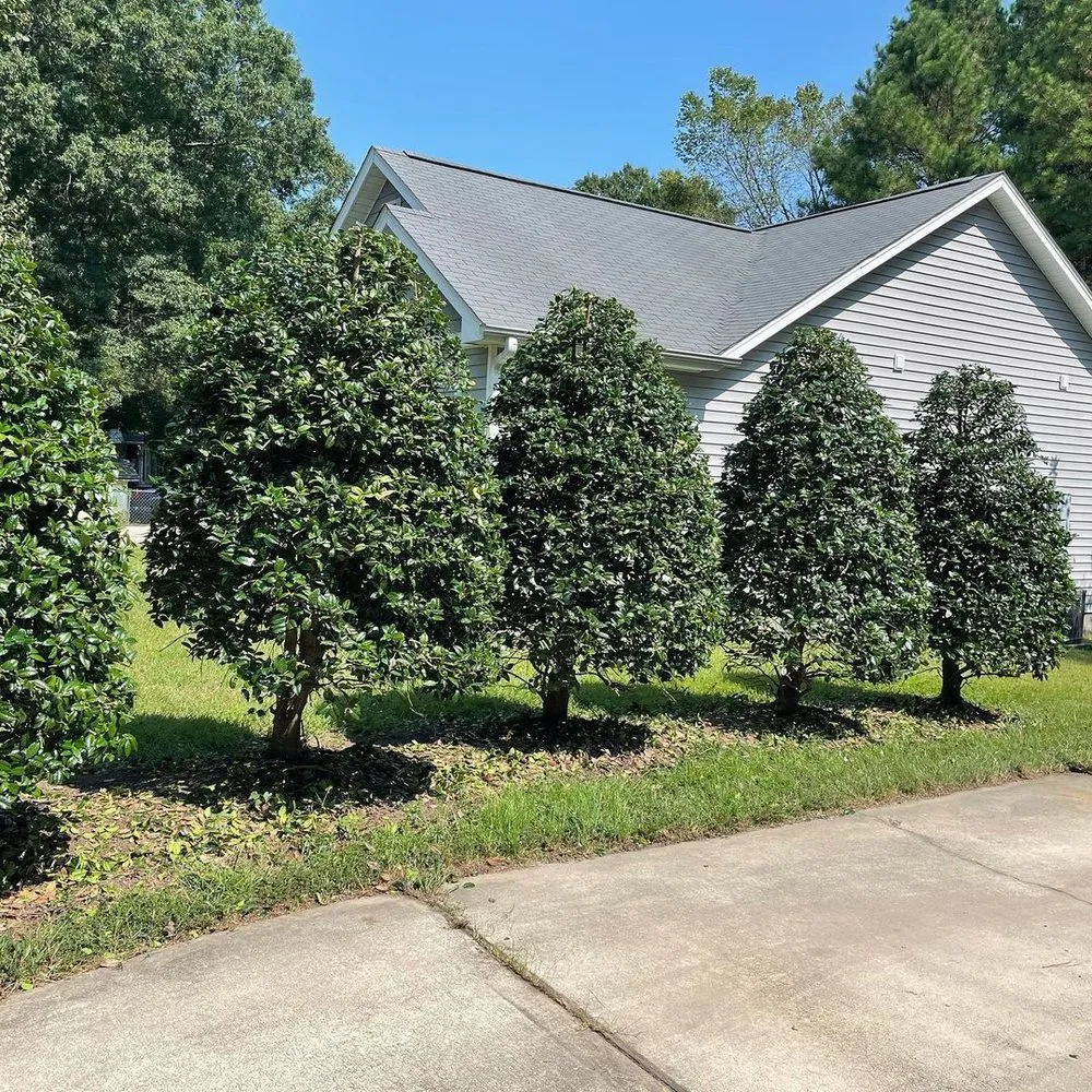 Local yard cleanup service near you across Haw River, NC - Perfect Green Landscape Services