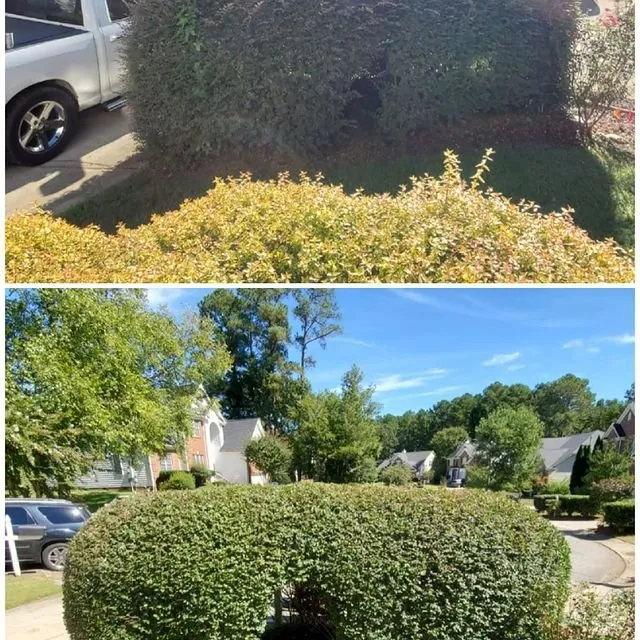 Professional outdoor landscaping for homes in Haw River, NC by Perfect Green Landscape Services