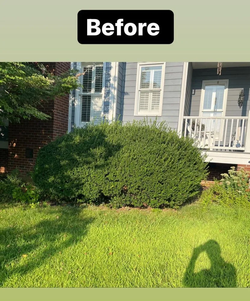 Custom yard cleanup service experts serving Haw River, NC - Perfect Green Landscape Services