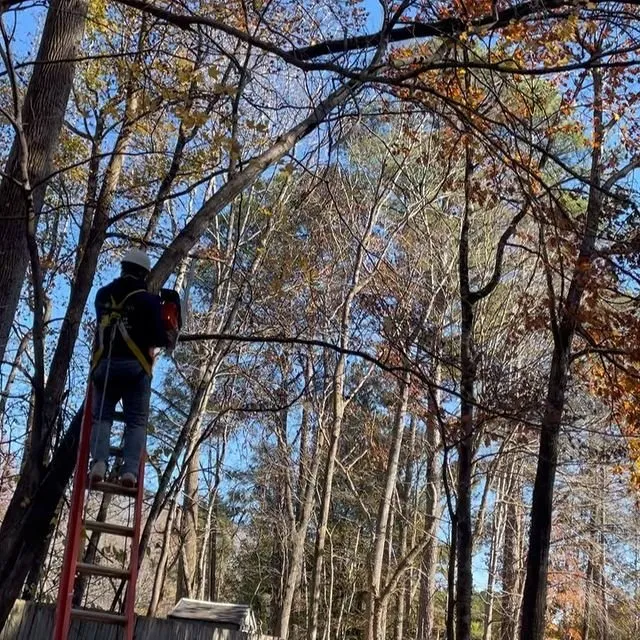 Expert garden landscaping in Haw River, NC - Perfect Green Landscape Services