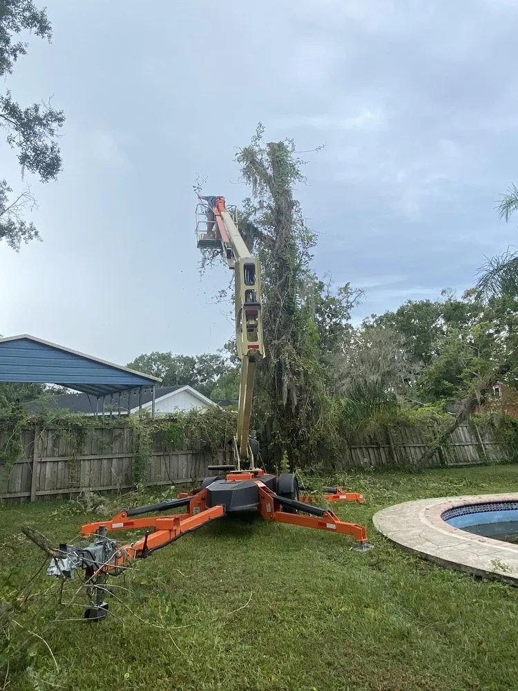Affordable lawn care service near you in Land O' Lakes, FL by Perfect Green Lawn & Landscaping